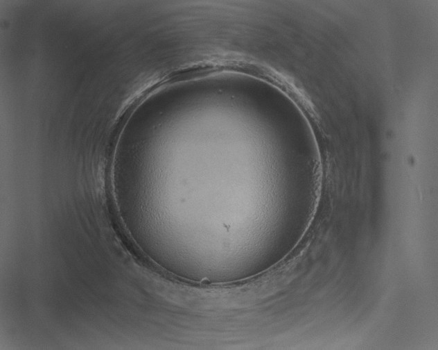 X0000051250010200506171147