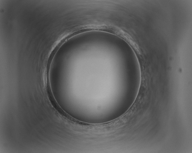 X0000051250011200506171147