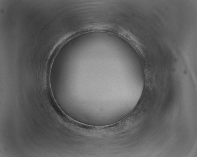 X0000051250012200506171147