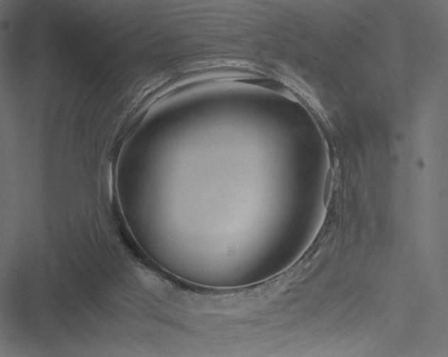 X0000051250013200506171147