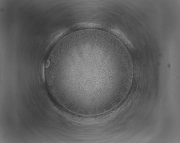 X0000051250014200506171147