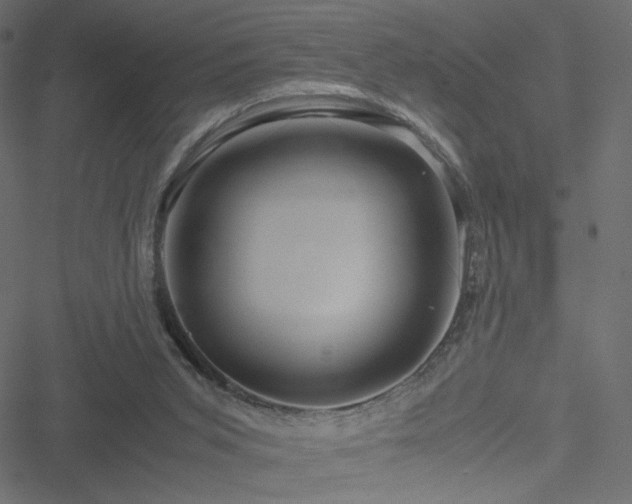 X0000051250015200506171147