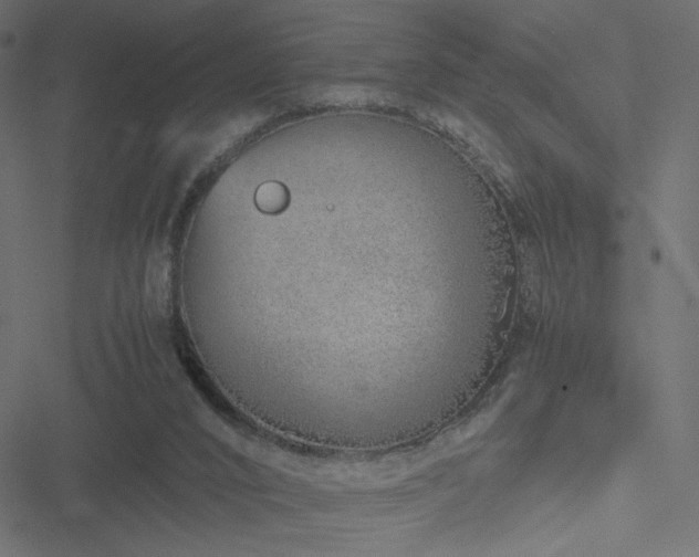 X0000051250016200506171147