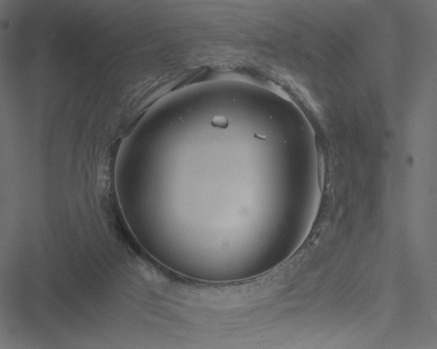 X0000051250017200506171147