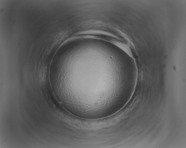 X0000051250018200506171147