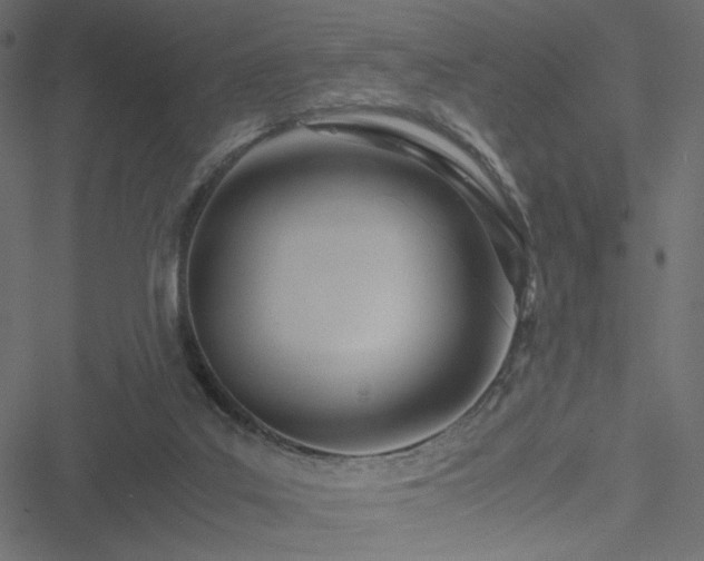 X0000051250019200506171147