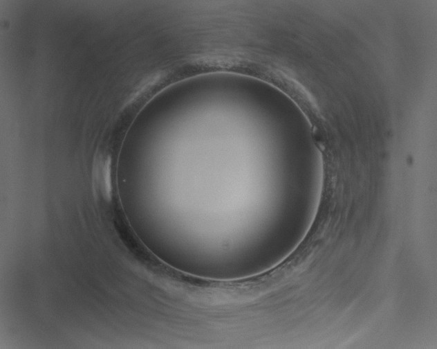 X0000051250020200506171147