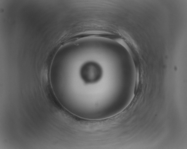 X0000051250021200506171147