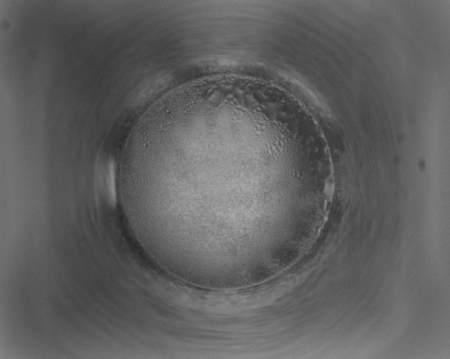 X0000051250022200506171147