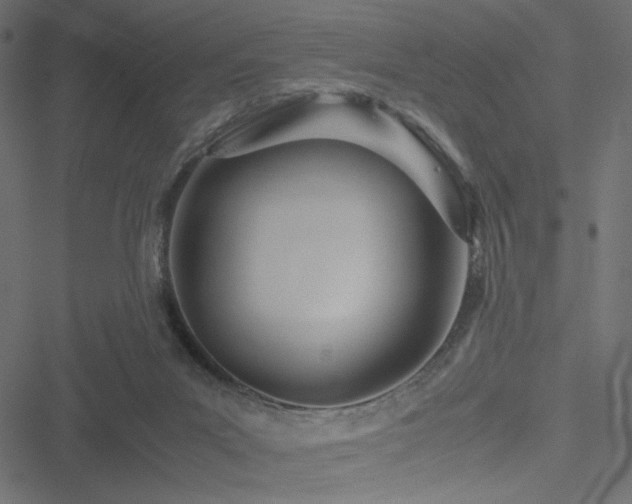 X0000051250023200506171147