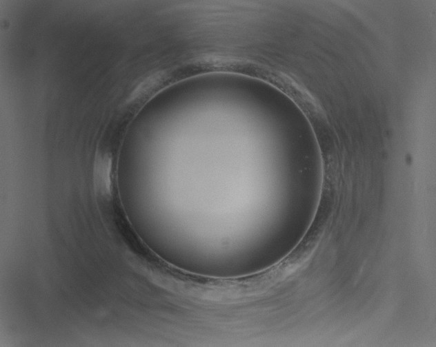 X0000051250024200506171147