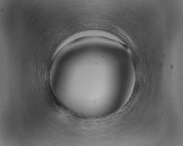 X0000051250025200506171147