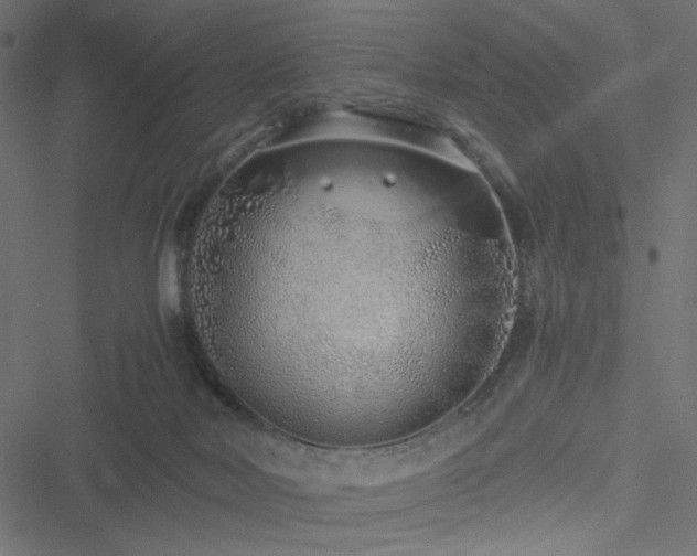 X0000051250026200506171147