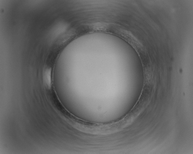 X0000051250028200506171147