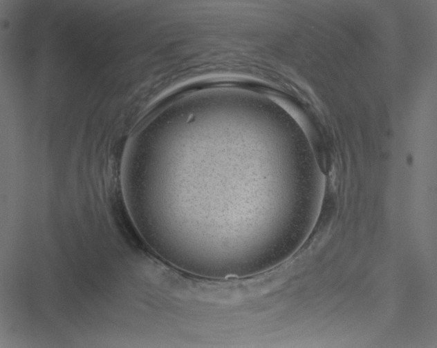 X0000051250029200506171147