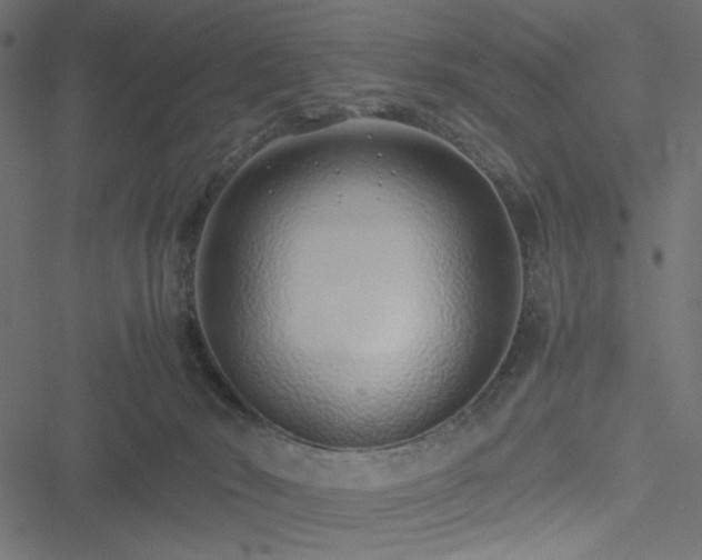 X0000051250030200506171147