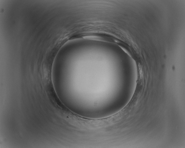 X0000051250031200506171147