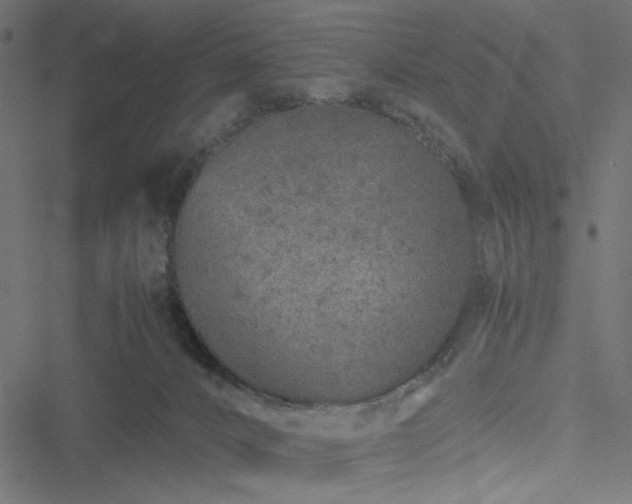 X0000051250032200506171147