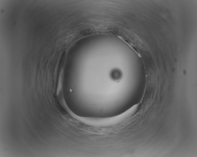 X0000051250033200506171147