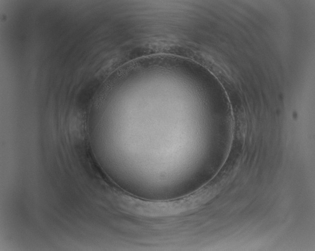 X0000051250034200506171147