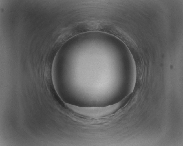 X0000051250035200506171147