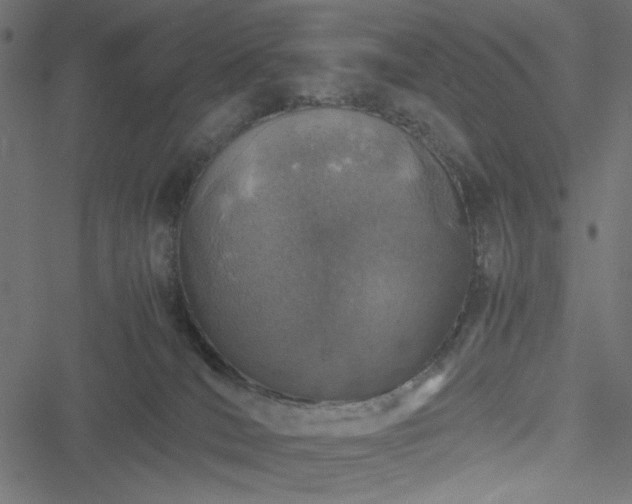 X0000051250036200506171147