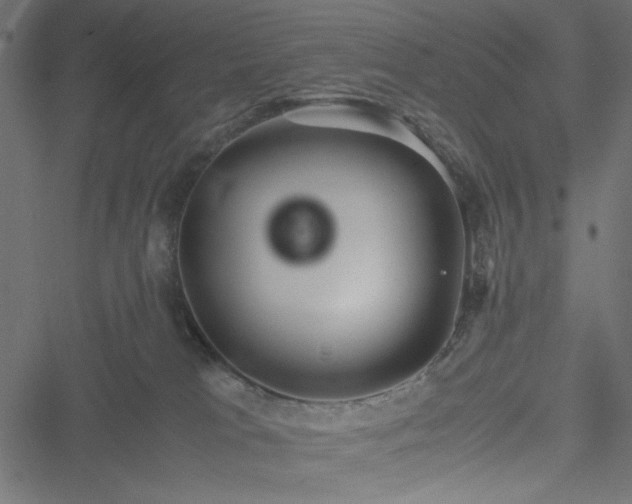 X0000051250037200506171147