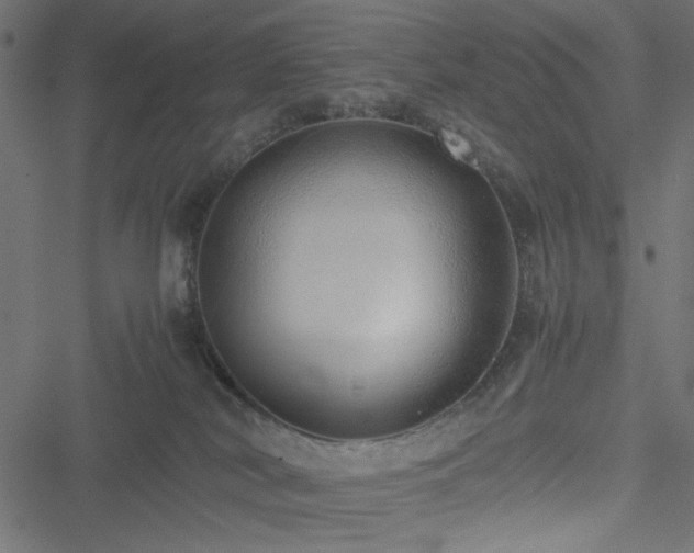 X0000051250038200506171147