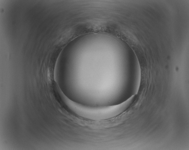 X0000051250039200506171147