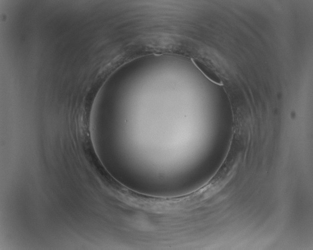 X0000051250040200506171147