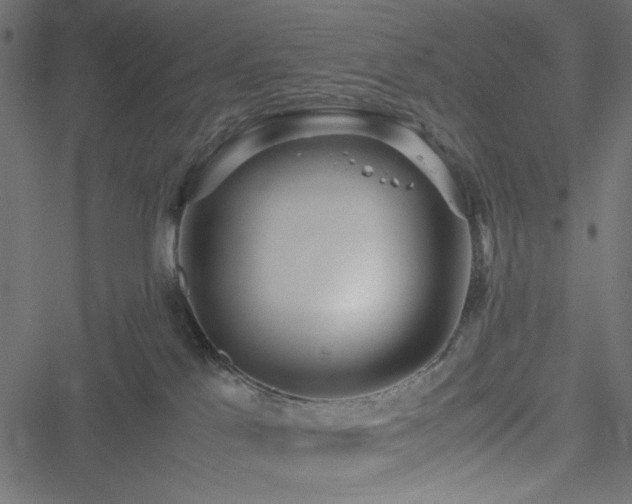 X0000051250041200506171147