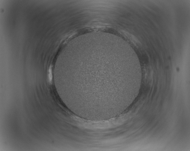 X0000051250042200506171147