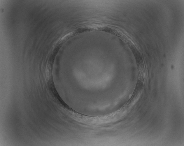 X0000051250043200506171147