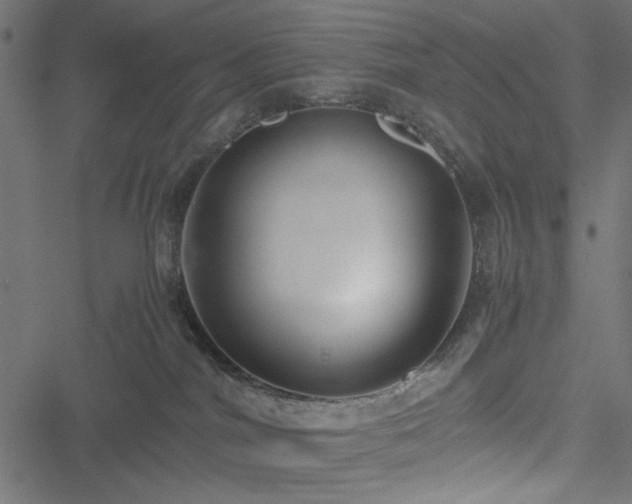 X0000051250044200506171147