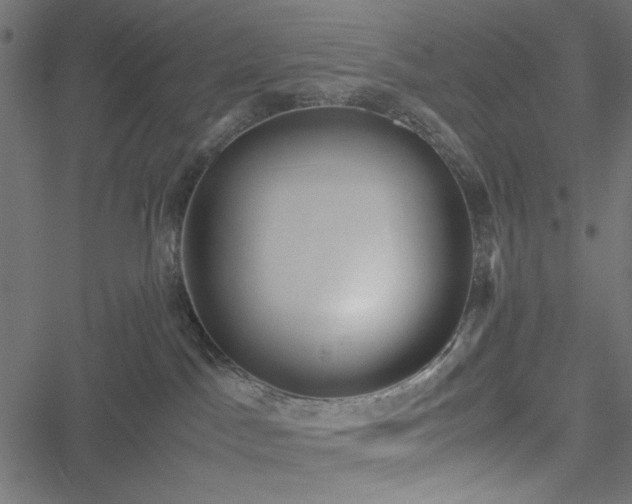 X0000051250045200506171147