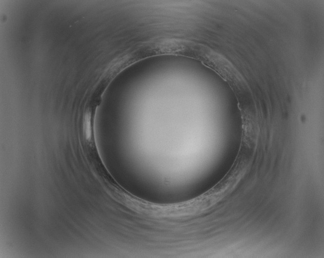 X0000051250046200506171147