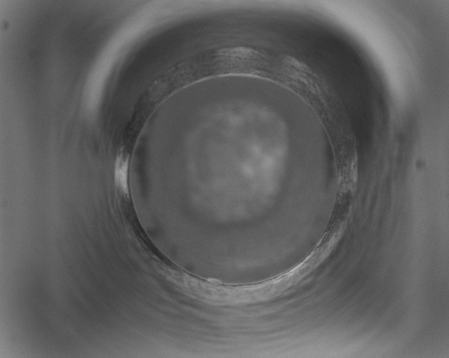 X0000051250047200506171147