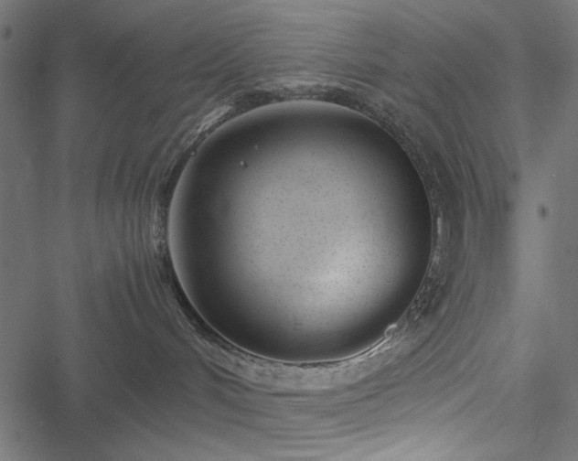 X0000051250048200506171147