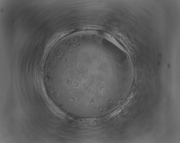 X0000051250049200506171146