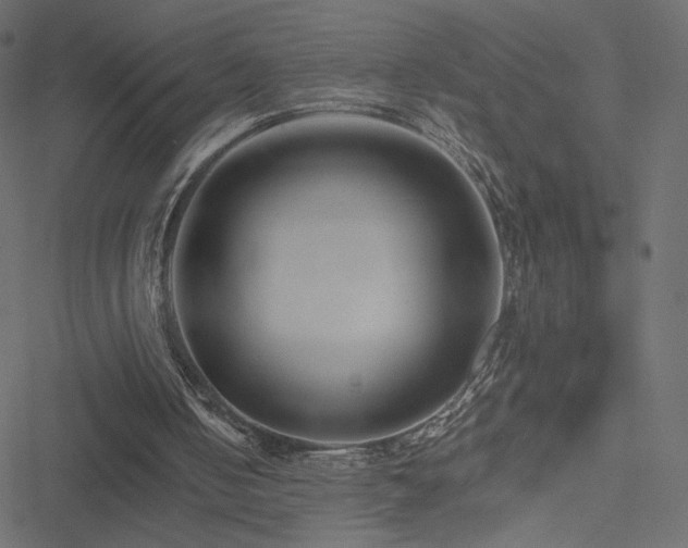 X0000051250050200506171146