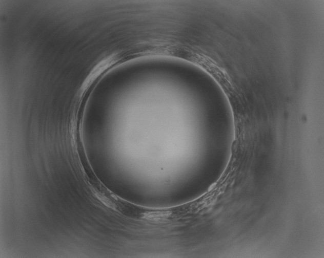 X0000051250051200506171146