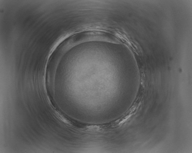 X0000051250052200506171146