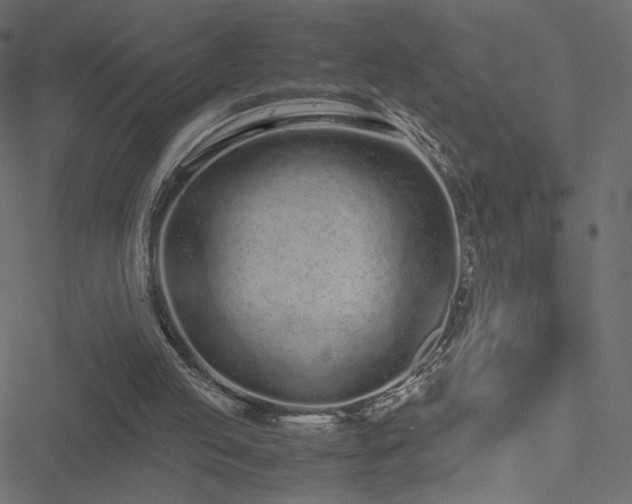 X0000051250053200506171146