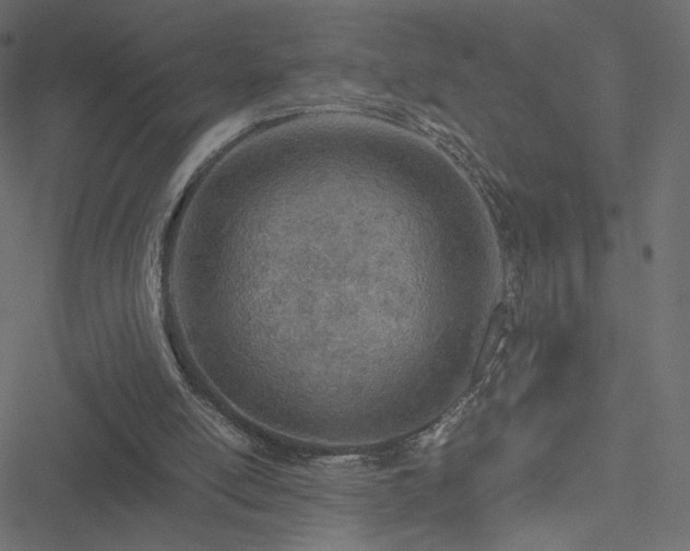 X0000051250054200506171146