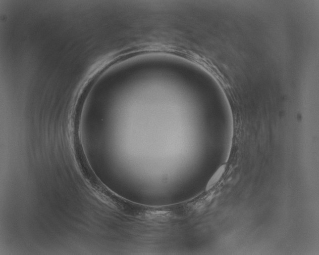 X0000051250055200506171146