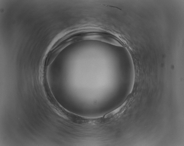 X0000051250056200506171146