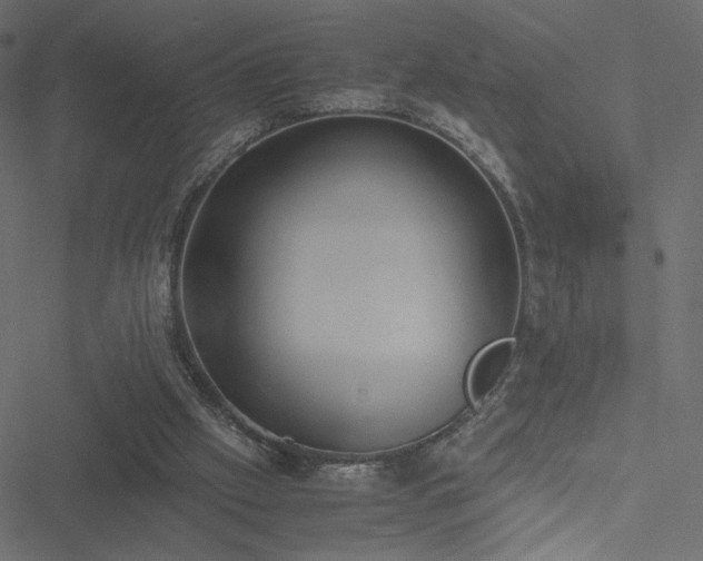 X0000051250057200506171146