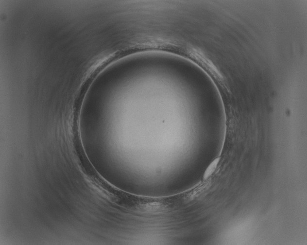 X0000051250058200506171146