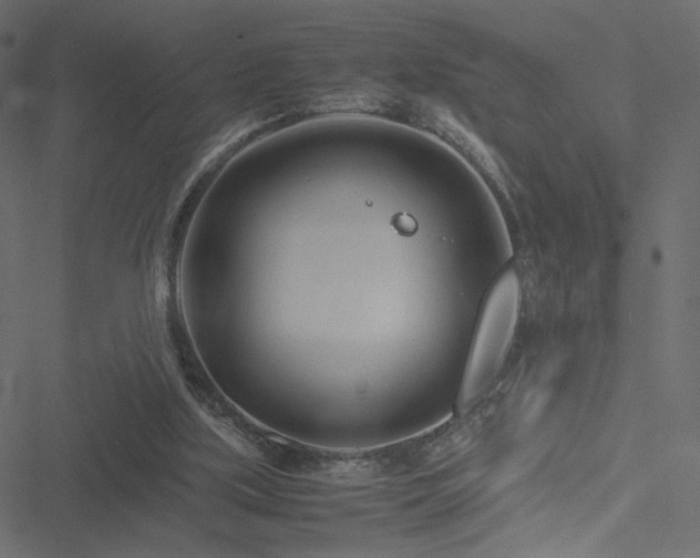 X0000051250059200506171146