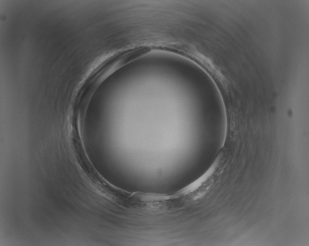 X0000051250060200506171146